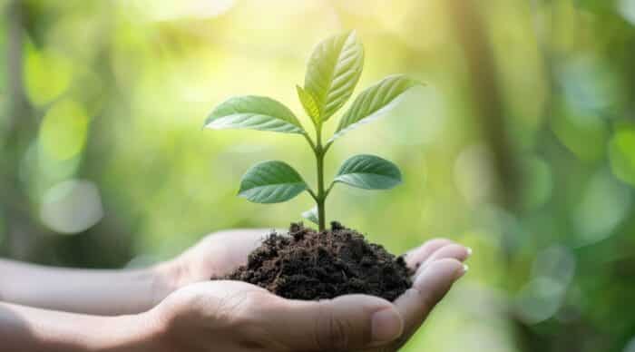 How to Find Nonprofit Donors